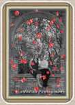 rose pedals